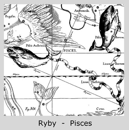 Ryby